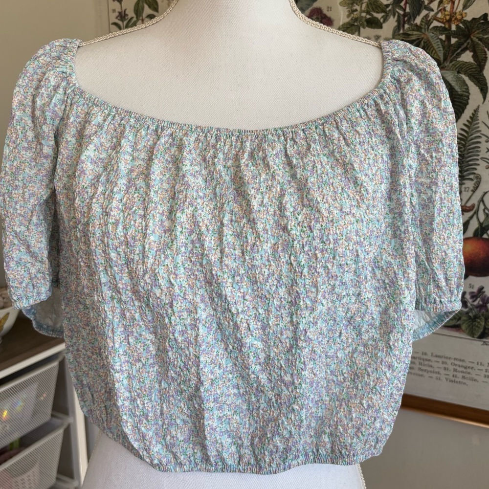 NWT Sophie Rue Multicolor Floral Crop Blouse Large